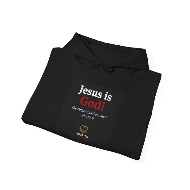 Jesus Is God Unisex Heavy Blend™ Hooded Sweatshirt