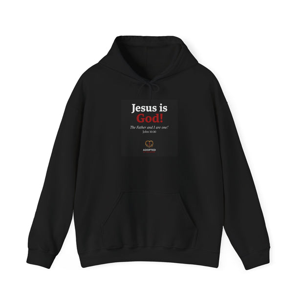 Jesus Is God Unisex Heavy Blend™ Hooded Sweatshirt