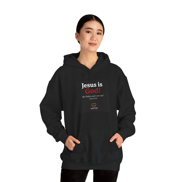 Jesus Is God Unisex Heavy Blend™ Hooded Sweatshirt